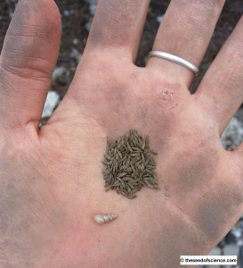 seeds-of-change.jpg-273x300