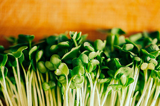 10126721843_c71715df80_n