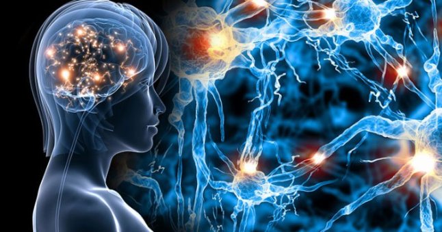 science-behind-yoga_chemicals