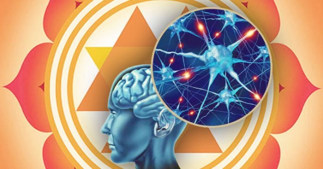 science-behind-yoga_yantra-brain